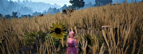 black desert fence farming